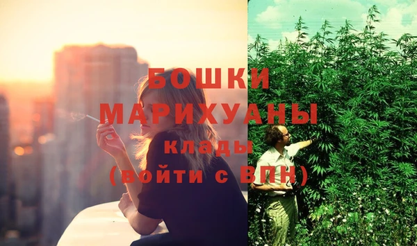 прущие грибы Киреевск