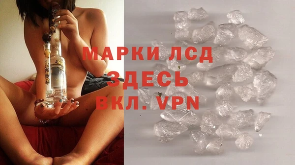 прущие грибы Киреевск