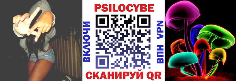 МЕГА ссылки  Кохма  Псилоцибиновые грибы мицелий 